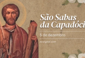 Hoje é celebrado são Sabas da Capadócia, aquele que fez brotar santos no deserto